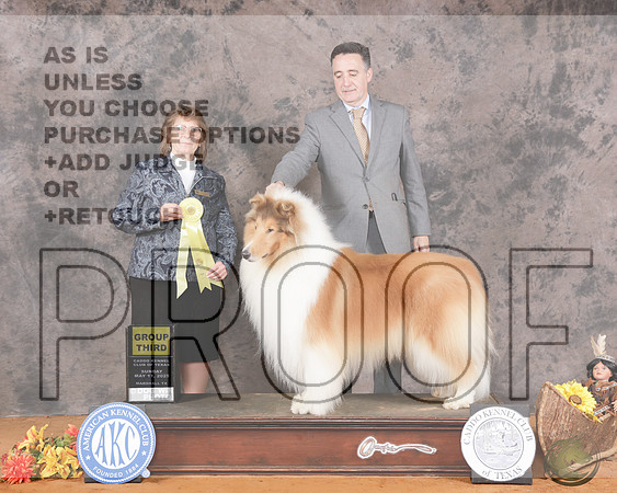 Collie Rough #5 Sun G3 Judge Nancy Eilks_WP_3921-Marshall 2025-HR3