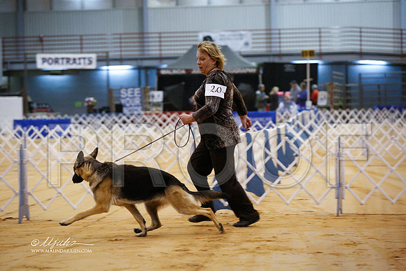 GSD-9693-GRJan14-HR