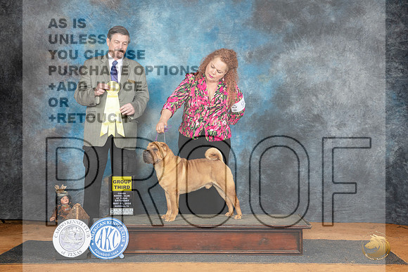 Chinese Shar Pei #9 Sat G3 Judge Jim Fehring__JP_8260_MARSHALL_2024_HR3