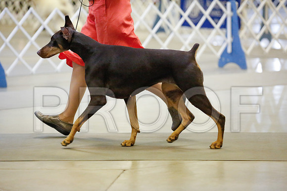 _JJ_7696-AmarilloSept2014-HR3