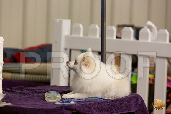 Candids Sat_JJL_1065-Selma2019-HR3