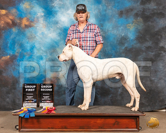 Dogo Sat S1 G1 Sat S2 G2__SR_9189-Selma2019-HR3