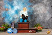 Poodle Toy #29 Fri WDMCh Judge Allen Odom