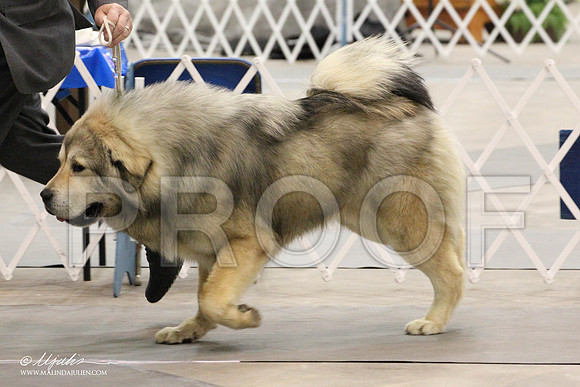 IMG_8685-Abilene2011-HR3