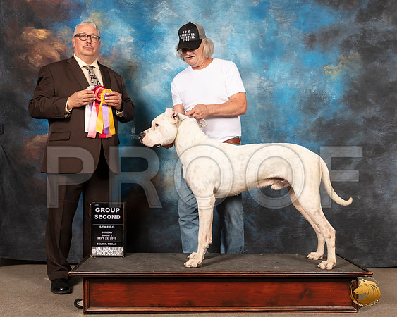 Dogo Sun S2 G2 Judge John Booth__SR_9339-Selma2019-HR3