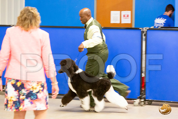 Poodle Std MC Sun S1 Chris Secrest_JJL_2184-Selma2019-HR3
