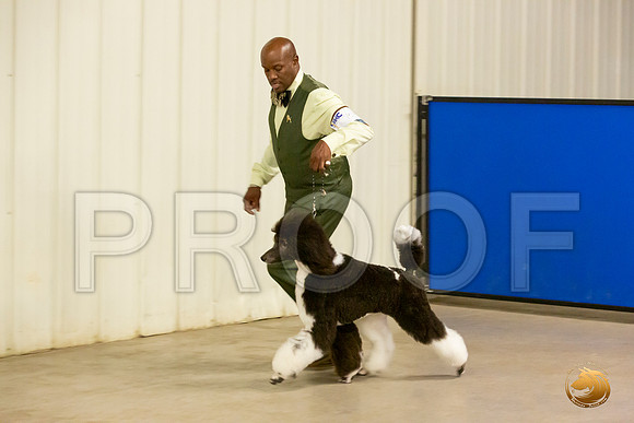Poodle Std MC Sun S1 Chris Secrest_JJL_2186-Selma2019-HR3