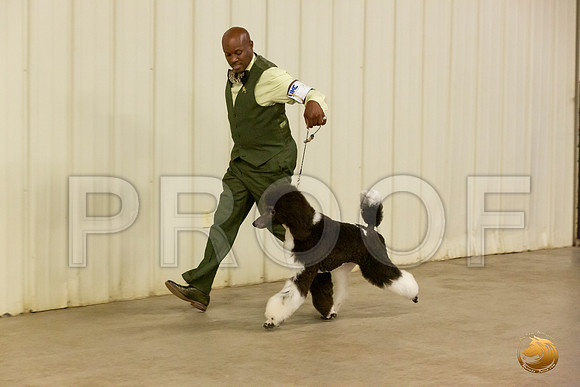 Poodle Std MC Sun S1 Chris Secrest_JJL_2189-Selma2019-HR3