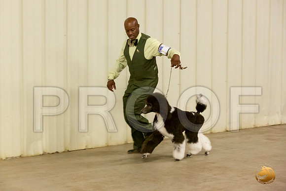 Poodle Std MC Sun S1 Chris Secrest_JJL_2190-Selma2019-HR3