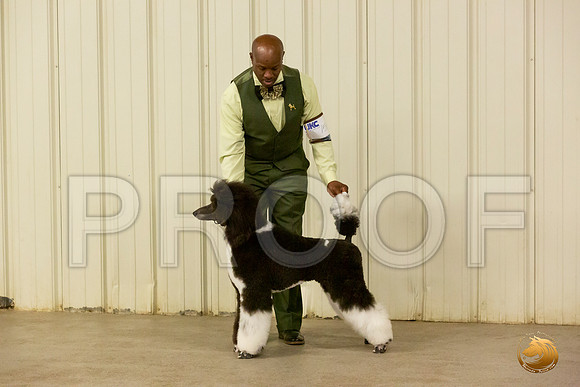 Poodle Std MC Sun S1 Chris Secrest_JJL_2210-Selma2019-HR3