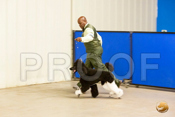 Poodle Std MC Sun S1 Chris Secrest_JJL_2290-Selma2019-HR3