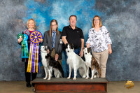 Silken Windhound #10 #29 #24  Fri Judge Jeanie Ayala
