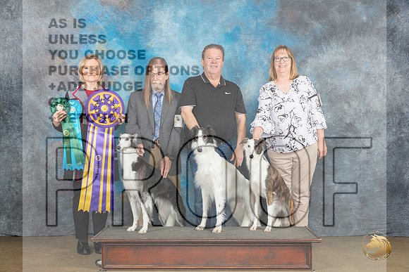 Silken Windhound #10 #29 #24  Fri Judge Jeanie Ayala_JP_2309_UKCFebLng2024_2024_HR3