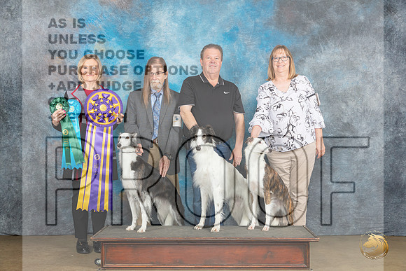 Silken Windhound #10 #29 #24  Fri Judge Jeanie Ayala_JP_2313_UKCFebLng2024_2024_HR3