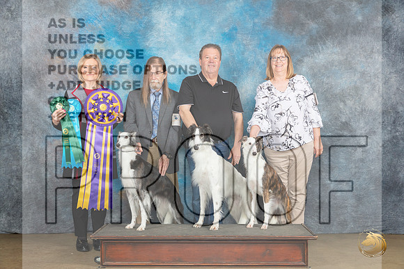 Silken Windhound #10 #29 #24  Fri Judge Jeanie Ayala_JP_2311_UKCFebLng2024_2024_HR3