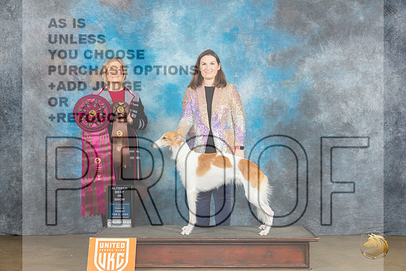 Silken Windhound #212 Fri ABIS  Judge Jeanie Ayala_JP_2304_UKCFebLng2024_2024_HR3