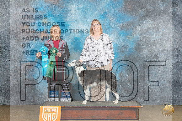 Silken Windhound #10 Fri BV AOM  Judge Jeanie Ayala_JP_2301_UKCFebLng2024_2024_HR3