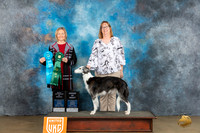 Silken Windhound #10 Fri BV AOM  Judge Jeanie Ayala