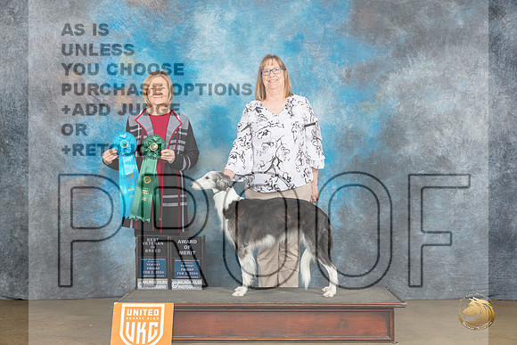Silken Windhound #10 Fri BV AOM  Judge Jeanie Ayala_JP_2299_UKCFebLng2024_2024_HR3