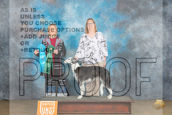 Silken Windhound #10 Fri BV AOM  Judge Jeanie Ayala_JP_2300_UKCFebLng2024_2024_HR3