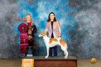 Silken Windhound #212 Fri ABIS  Judge Jeanie Ayala