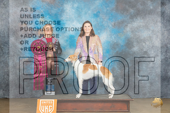 Silken Windhound #212 Fri ABIS  Judge Jeanie Ayala_JP_2303_UKCFebLng2024_2024_HR3