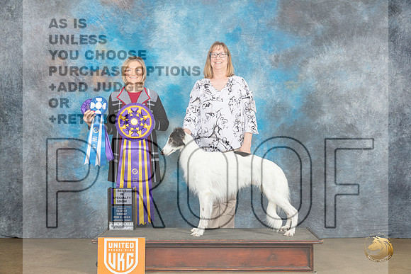 Silken Windhound #39 Fri WDBOWBISS Judge Jeanie Ayala_JP_2293_UKCFebLng2024_2024_HR3