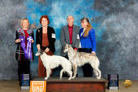 Silken Windhound #40 Fri WBRWB  Judge Jeanie Ayala