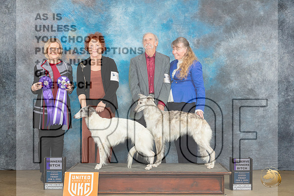 Silken Windhound #40 Fri WBRWB  Judge Jeanie Ayala_JP_2297_UKCFebLng2024_2024_HR3