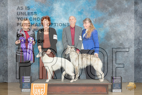 Silken Windhound #40 Fri WBRWB  Judge Jeanie Ayala_JP_2296_UKCFebLng2024_2024_HR3