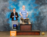 Lhasa Apso #294 Sat G1 Judge Felicity Trammell