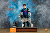 Poodle Std #247 Sat BFCH Judge Dr Kathryn Baxter