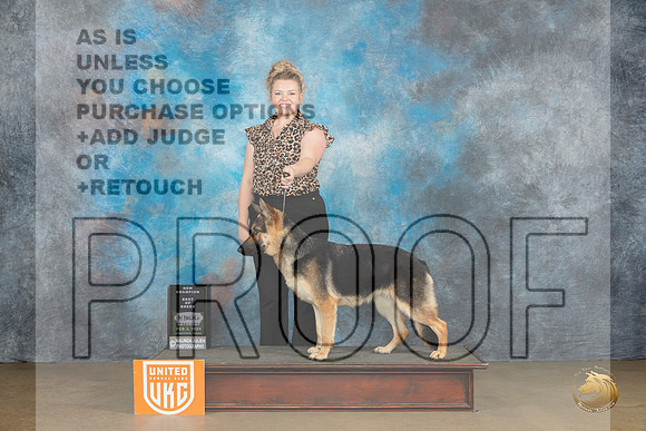 German Shepherd Dog #394 Sat CH BOB Judge Teresa Kocher_JP_2460_UKCFebLng2024_2024_HR3