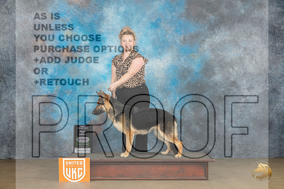 German Shepherd Dog #394 Sat CH BOB Judge Teresa Kocher_JP_2463_UKCFebLng2024_2024_HR3