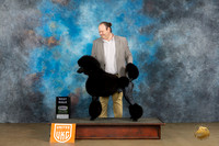 Poodle Std #120 Sat BM Judge Felicity Trammell