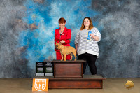 French Bulldog #406 Sat BF Judge Felicity Trammell BF Judge Kathryn Baxter