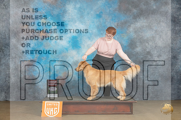 Golden Retriever #101 Sat2 BOBG2 Judge Felicity Trammell_JP_2526_UKCFebLng2024_2024_HR3