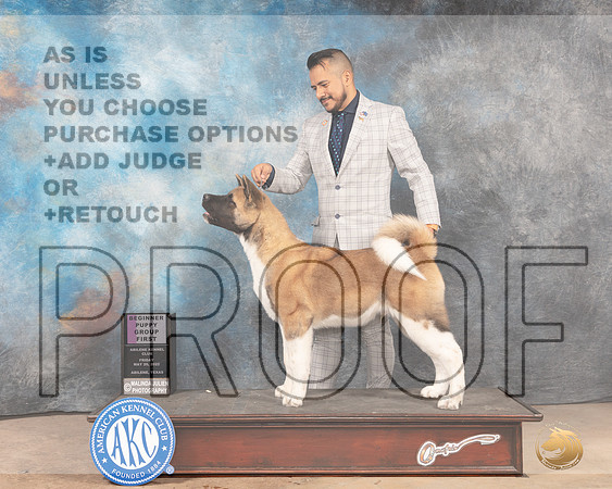 Akita #9 Sun PBOBPG1 Judge Thomson Stanfield Jr-MMJ_5056-Abilene2022-HR3