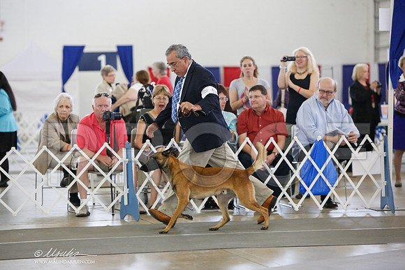 _JJ_3029-DallasJul2014-HR3