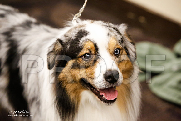 _JJ_1687-FWKCMar2015-HR3