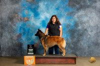 Belgian Tervuren #426 Sun1 ABIS Judge Kathryn Baxter