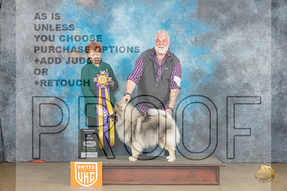 Keeshond #210 Sun RBIS Judge Kathryn Baxter_JP_2744_UKCFebLng2024_2024_HR3