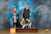 Keeshond #216 Sat RBIS Judge Teresa Kocher