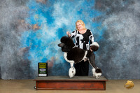 Poodle Std MC #200 Sun2 G4 Judge Kevin Carroll