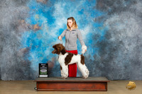 Poodle Std MC #276 Sun BOW Judge Kevin Carroll