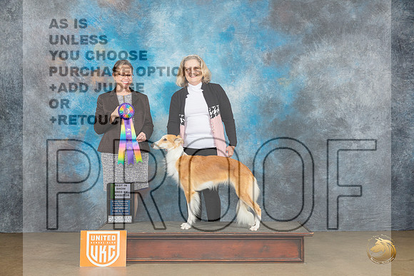 Silken Windhound #26 Sat2 BBE Judge Felicity Trammell_JP_2586_UKCFebLng2024_2024_HR3