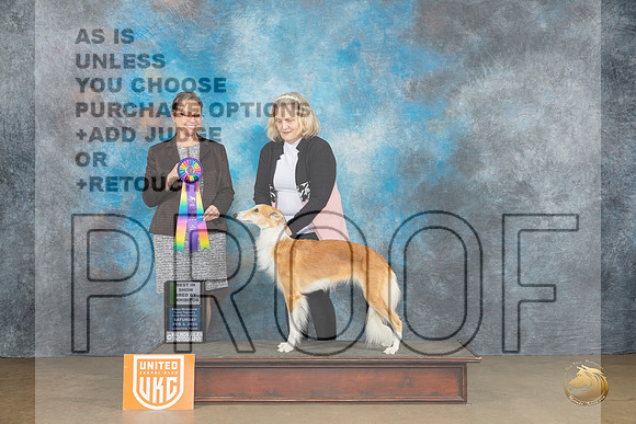 Silken Windhound #26 Sat2 BBE Judge Felicity Trammell_JP_2588_UKCFebLng2024_2024_HR3