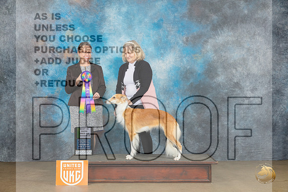 Silken Windhound #26 Sat2 BBE Judge Felicity Trammell_JP_2589_UKCFebLng2024_2024_HR3