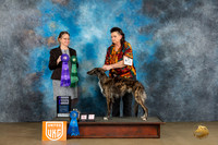 Silken Windhound #58 Sat2 WBAOMCH Judge Felicity Trammell