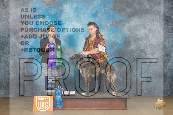 Silken Windhound #58 Sat2 WBAOMCH Judge Felicity Trammell_JP_2582_UKCFebLng2024_2024_HR3